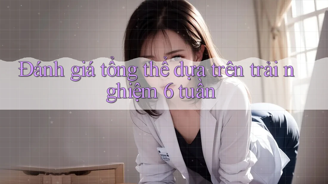 Đánh giá tổng thể dựa trên trải nghiệm 6 tuần