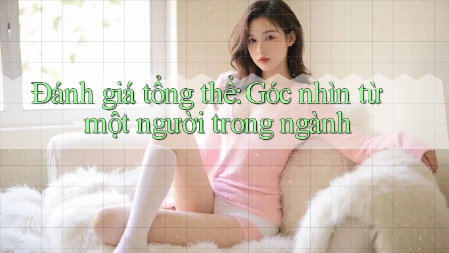 Đánh giá tổng thể: Góc nhìn từ một người trong ngành Đánh giá tổng thể: Góc nhìn từ một người trong ngành