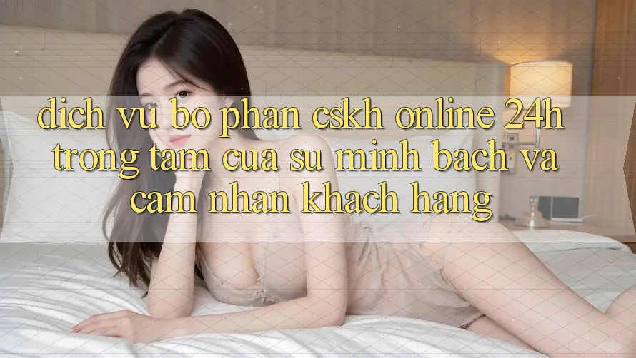 Dịch Vụ Bộ phận CSKH Online 24h: Trọng Tâm Của Sự Minh bạch và Cảm nhận Khách Hàng