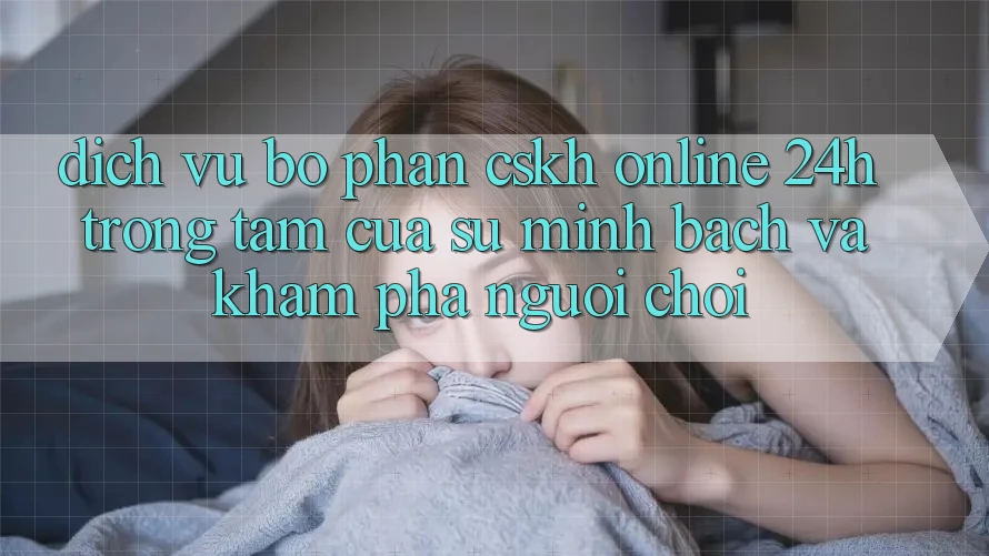 Dịch Vụ Bộ phận CSKH Online 24h: Trọng Tâm Của Sự Minh bạch và Khám phá Người chơi