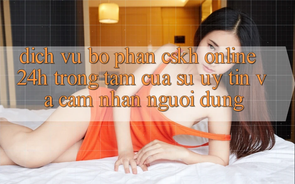 Dịch Vụ Bộ phận CSKH Online 24h: Trọng Tâm Của Sự Uy Tín và Cảm nhận Người dùng