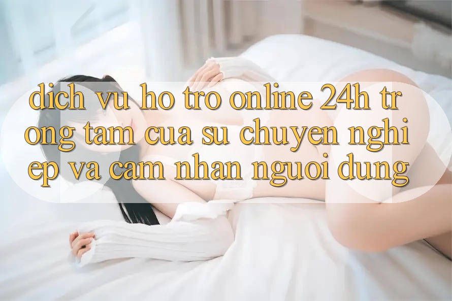 Dịch Vụ Hỗ Trợ Online 24h: Trọng Tâm Của Sự Chuyên nghiệp và Cảm nhận Người dùng Dịch Vụ Hỗ Trợ Online 24h: Trọng Tâm Của Sự Chuyên nghiệp và Cảm nhận Người dùng