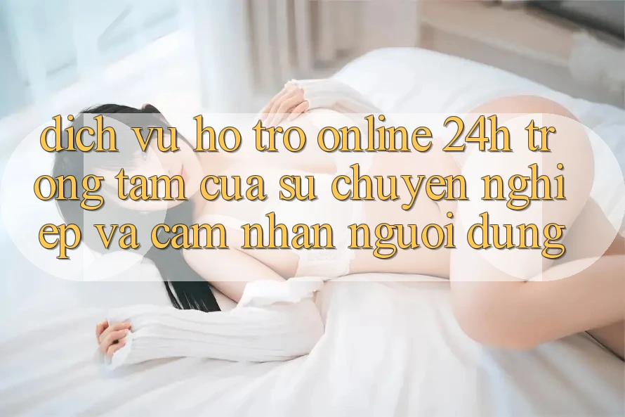 Dịch Vụ Hỗ Trợ Online 24h: Trọng Tâm Của Sự Chuyên nghiệp và Cảm nhận Người dùng