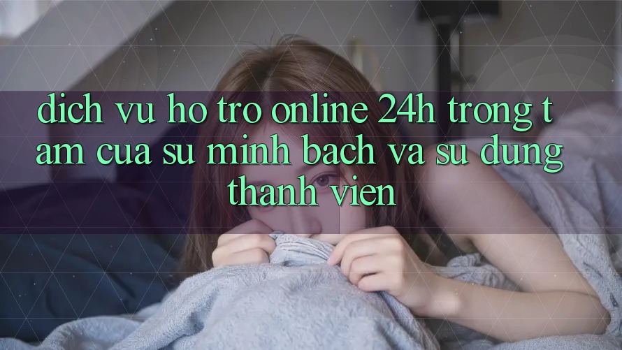 Dịch Vụ Hỗ trợ Online 24h: Trọng Tâm Của Sự Minh bạch và Sử dụng Thành viên