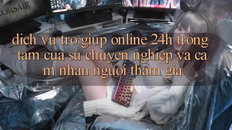 Dịch Vụ Trợ giúp Online 24h: Trọng Tâm Của Sự Chuyên nghiệp và Cảm nhận Người tham gia