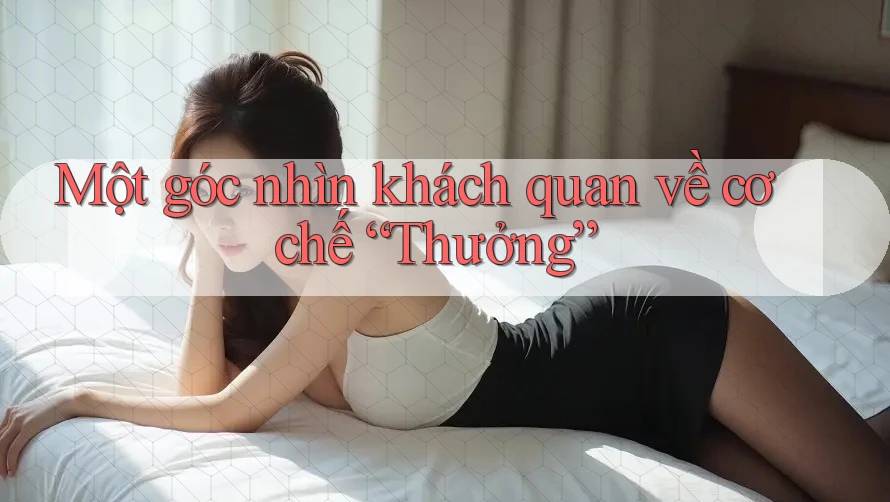 Một góc nhìn khách quan về cơ chế “Thưởng”
