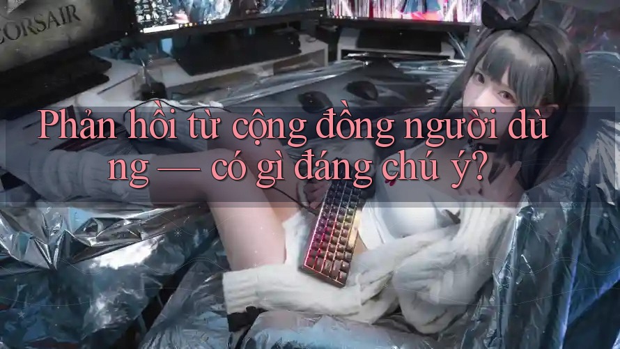 Phản hồi từ cộng đồng người dùng — có gì đáng chú ý?