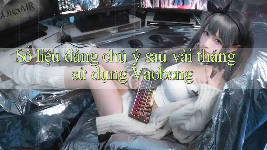 Số liệu đáng chú ý sau vài tháng sử dụng Vaobong Số liệu đáng chú ý sau vài tháng sử dụng Vaobong