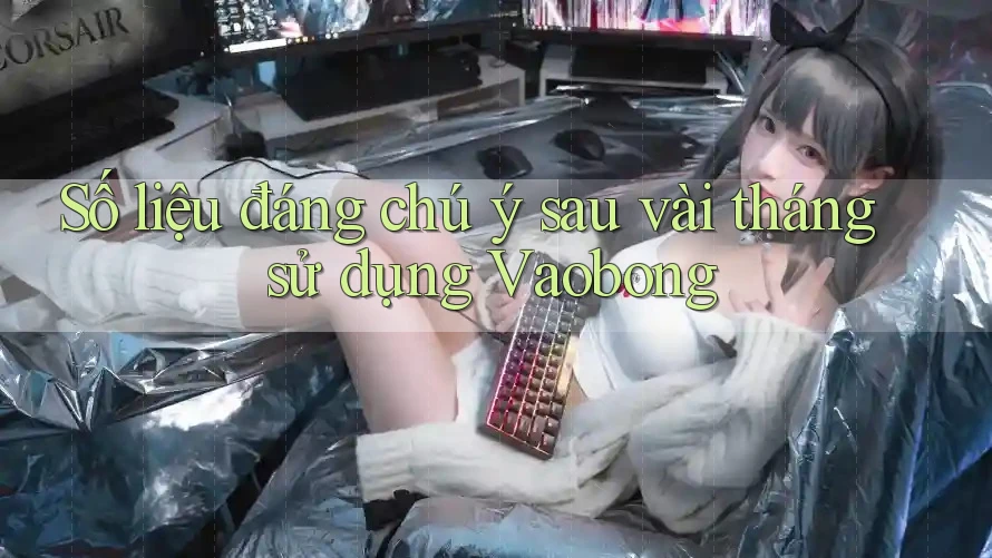 Số liệu đáng chú ý sau vài tháng sử dụng Vaobong Số liệu đáng chú ý sau vài tháng sử dụng Vaobong
