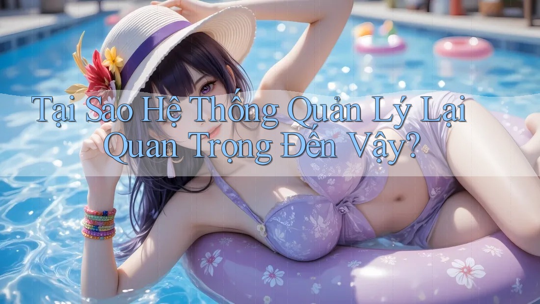 Tại Sao Hệ Thống Quản Lý Lại Quan Trọng Đến Vậy?