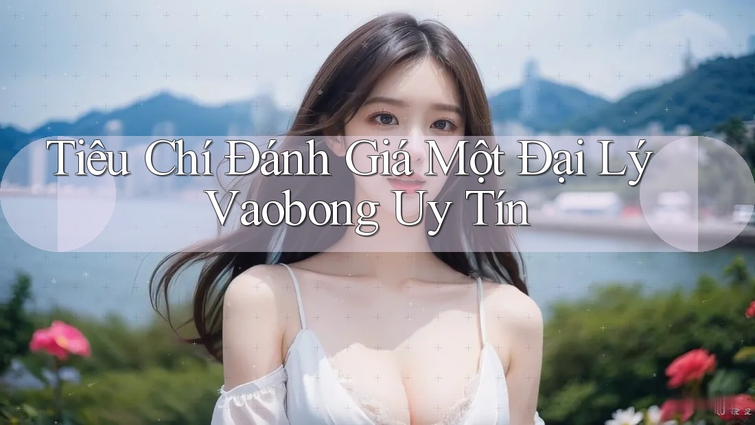 Tiêu Chí Đánh Giá Một Đại Lý Vaobong Uy Tín