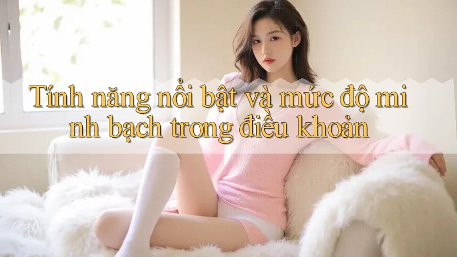 Tính năng nổi bật và mức độ minh bạch trong điều khoản Tính năng nổi bật và mức độ minh bạch trong điều khoản