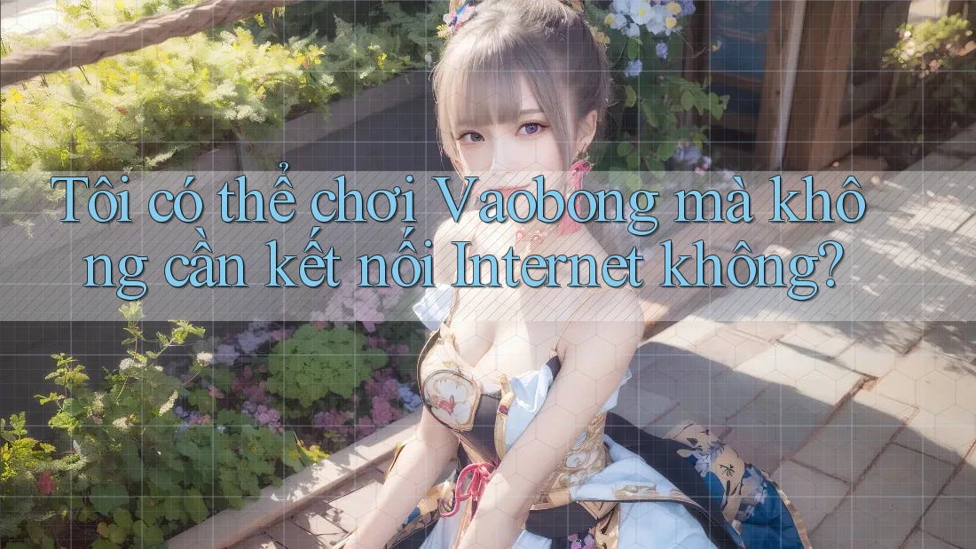Tôi có thể chơi Vaobong mà không cần kết nối Internet không?