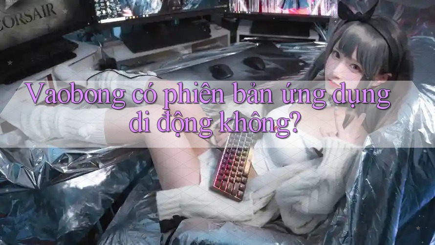 Vaobong có phiên bản ứng dụng di động không?