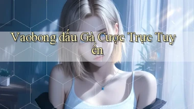 vaobong  đấu gà cược trực tuyến